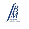 Bohuslav Martinů Philharmonic Orchestra