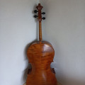 Thomas Martin Guarneri copy cello (2003), , ,