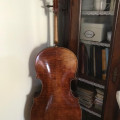 Blaurock Cello, ,