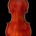 Old violin by Di Carlo Danielle Milano year 1937