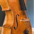 French cello without name, ,
