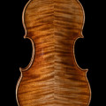 Old italian violin Emanuele Curtoni 2017