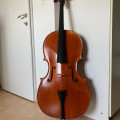 4/4 Cello, Montagnana, Poland, 14 years.