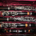 Custom Made Pair of Wurlitzer clarinets with 2 cases