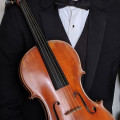 16.75" R. McCluskie Viola 1997 no 190, Fine French Bow, Marco Raposo Bow, BAM Hitech Case