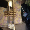 Taylor Chicago Custom trumpet raw brass, unlacquered serial number 917, , ,