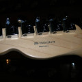 Chitarra Fender Telecaster American Special, ,