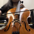 Cello Stolen in San Francisco 12/17