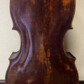 Cello german 1750 Label M. Goffriller, ,