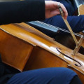 Cello Honěk (from Czech republic) and two bows in blue cello case "Carbon mac", , ,