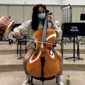 Cello Stolen in San Francisco 12/17, ,