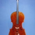 Strad-model Robert Brewer Young 2008 + Tubbs bow