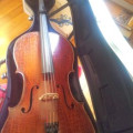 Scaranpella signed 'cello 1882, very distinctive wide cracked varnish with a relief effect
