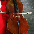 2 Cellos: Karl Hepplewhite and Jay Haide Cellos, 3 Bows: Thomassin, Cirilo & Gérard
