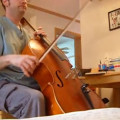 glaesal cello