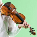 The violin in black textile case., ,