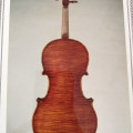 Viola by Miroslav Komar (Prague 2000), ,