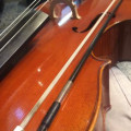 Stolen Cello With 2 Bows