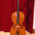 Three stolen cellos 2012, , ,