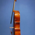 Strad-model Robert Brewer Young 2008 + Tubbs bow, ,