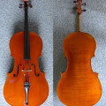 Antonio Capela Cello 2003