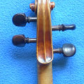 Rubato violino Fiorini, , ,