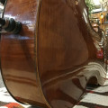 German Cello no label 1950s, , ,