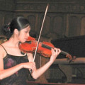 Old French violin circa 1910, pernambuco bow, and case stolen in Tucson Arizona USA, Apr 26 2017, , ,