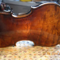 Violin - Schönbach, model Magginni, ,