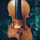 Violin 2017 stradivarius model By Levi Bonewald Netherlands, , , ,