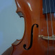 bellissimo violoncello del liutaio piemontese DARIO VERNE' anno 1990, , , , , ,