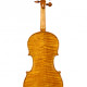 Dario Aguzzi violin with certificate, ,