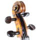 Nicolas Augustin Chappuy Violin with case, , , , , ,