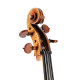A cello by Ian McWilliams, Montepellier 2008, , , , ,