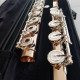 Complete Dana Sheridan 14K flute, ,