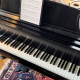 Steinway and Sons Model M - 1994 - fully restored with Steinway parts in 2020, , ,