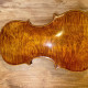 2011 Falk Peters Viola, ,