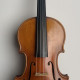 A fantastic violin, labeled Joannes Franciscus Pressenda., ,