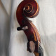 Cello by Neuner and Hornsteiner 1890, , , , , ,