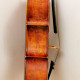 Very fine Italian cello, Sofriti school, , ,