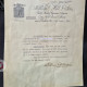 Fine cello GAETAN  ANTONIAZZI Milan 1895 with certificates, , , , , , ,