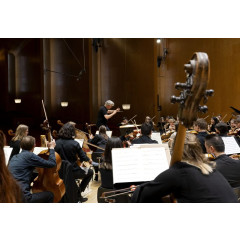 Symphonic Orchestra Performance, master's programme