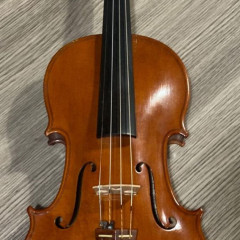 Violino Dario Verne' 1995 Italia,
