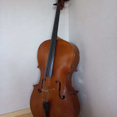 Thomas Martin Guarneri copy cello (2003),