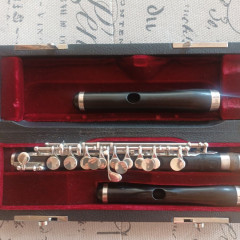 Lillian Burkart Professional piccolo,