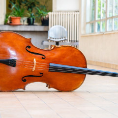 Belgian Cello - Heynberg 1962,