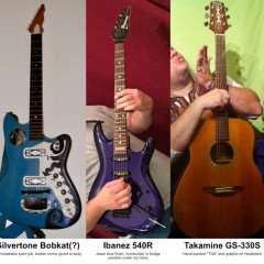 Stolen - Silvertone, Ibanez, and Takamine Guitars,