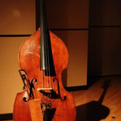 Deux instruments volés à BRUXELLES: une contrebasse et un violone,
