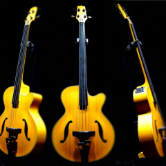 Takamine PB-30 bass stolen via ebay refund,