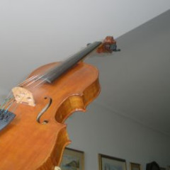 It is an IESTA with 41 cm and was bought to Judith Bauer Luthier Violin Maker,